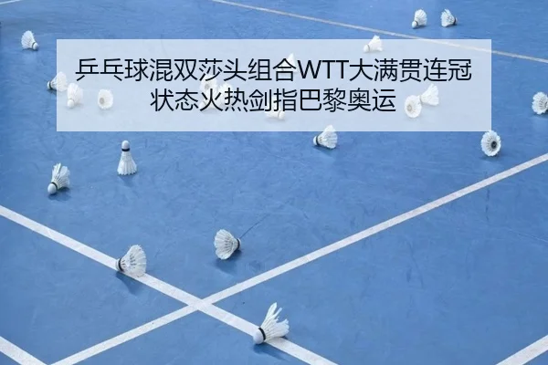 乒乓球混双莎头组合WTT大满贯连冠 状态火热剑指巴黎奥运